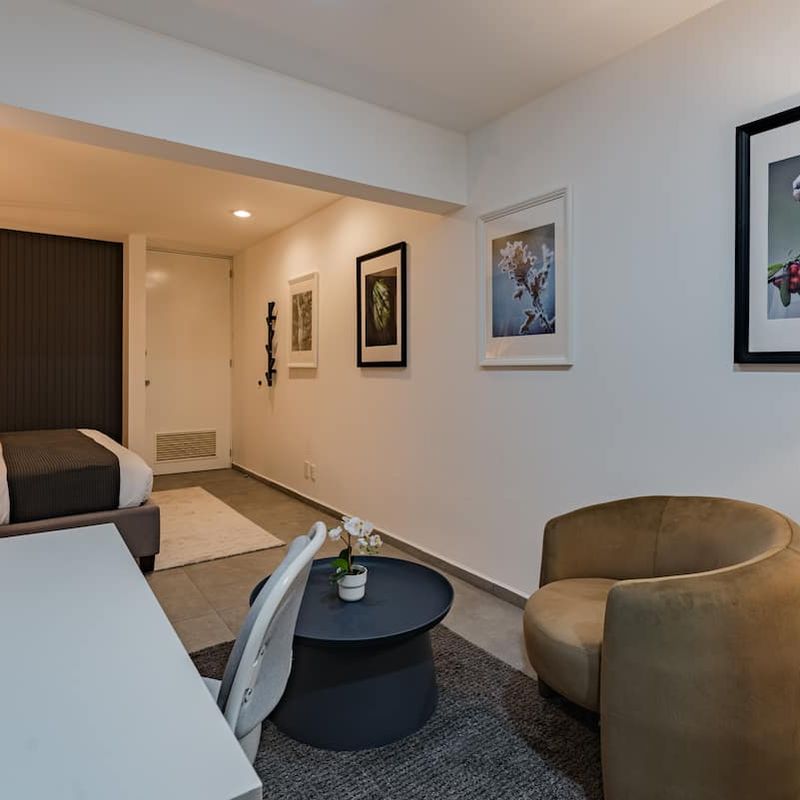 Large Home in Condesa