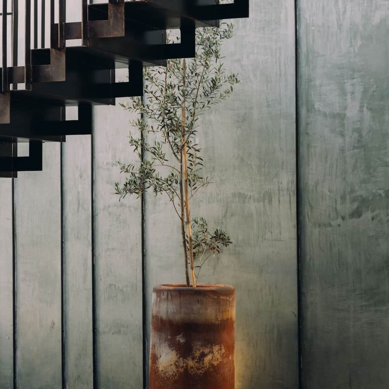 Luxury Home in Oaxaca