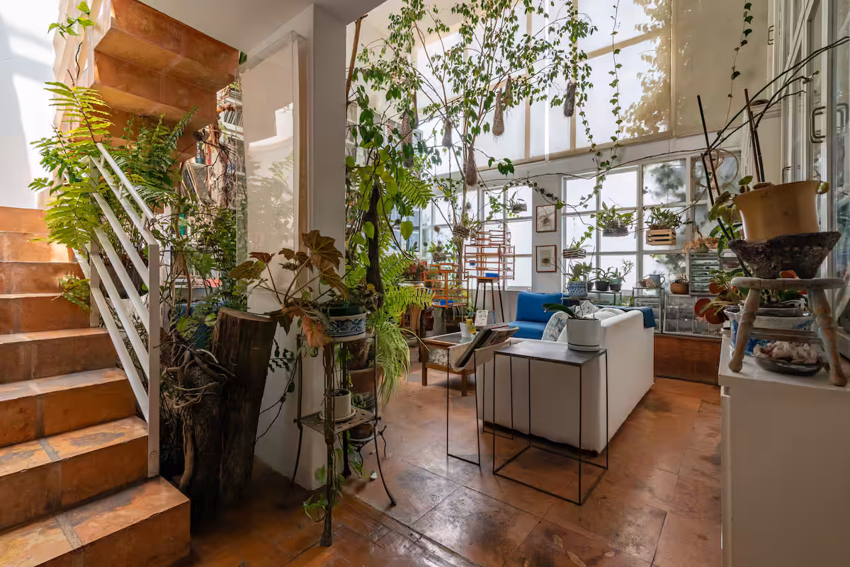 Artist's Home in Condesa