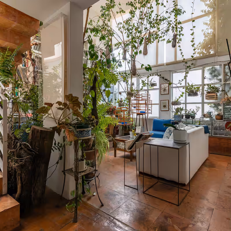 Artist's Home in Condesa