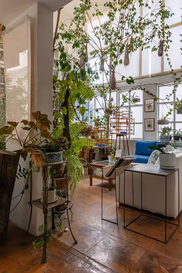 Artist's Home in Condesa