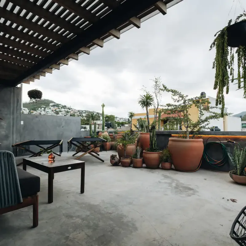 Designer Home in Oaxaca