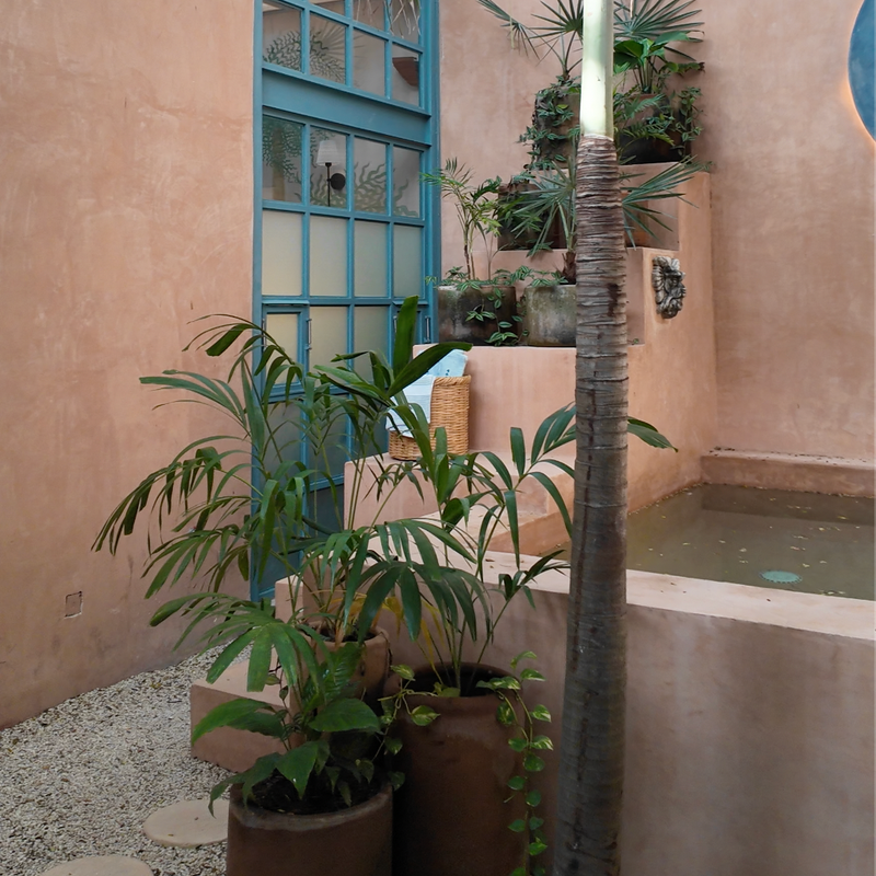 Colonial Home in Merida