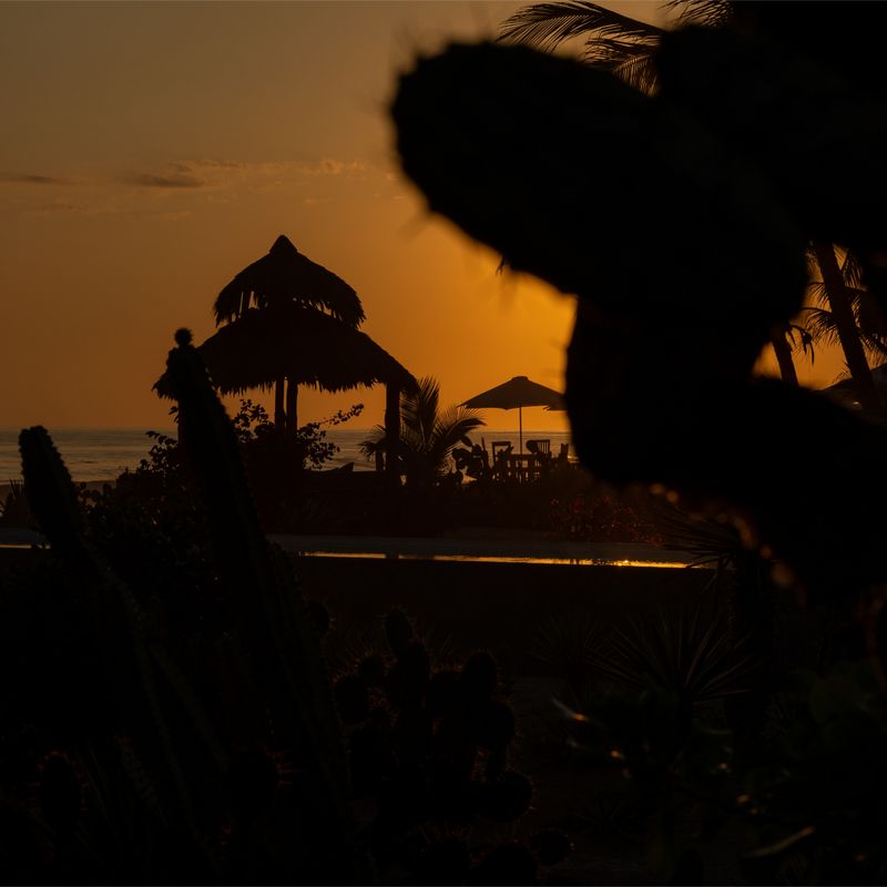 Beachfront Home in Puerto Escondido