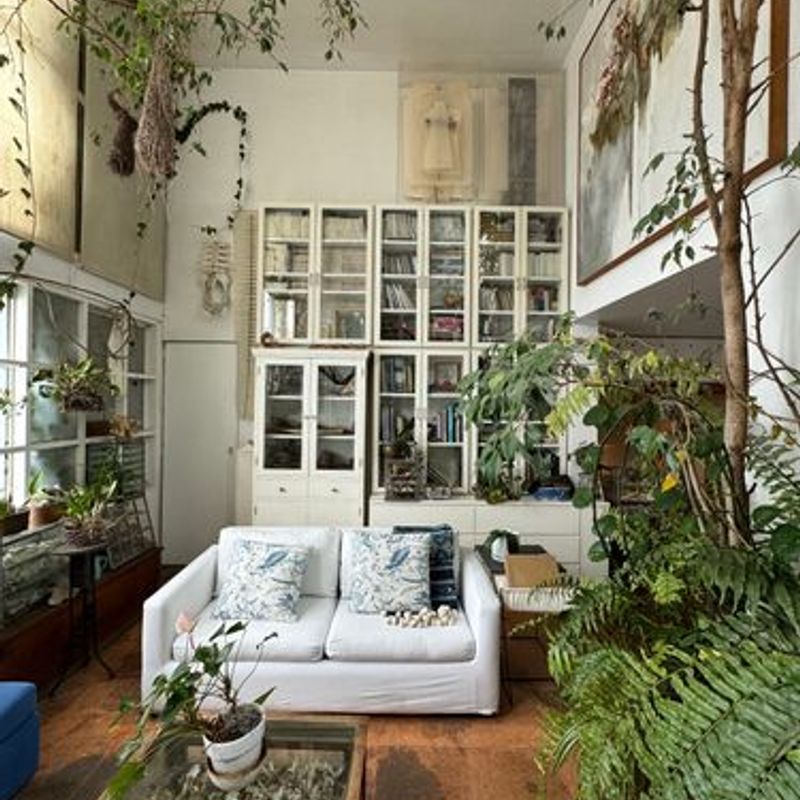 Two Homes in Condesa