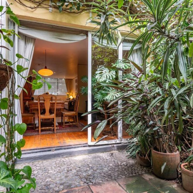 Artist's Home in Condesa