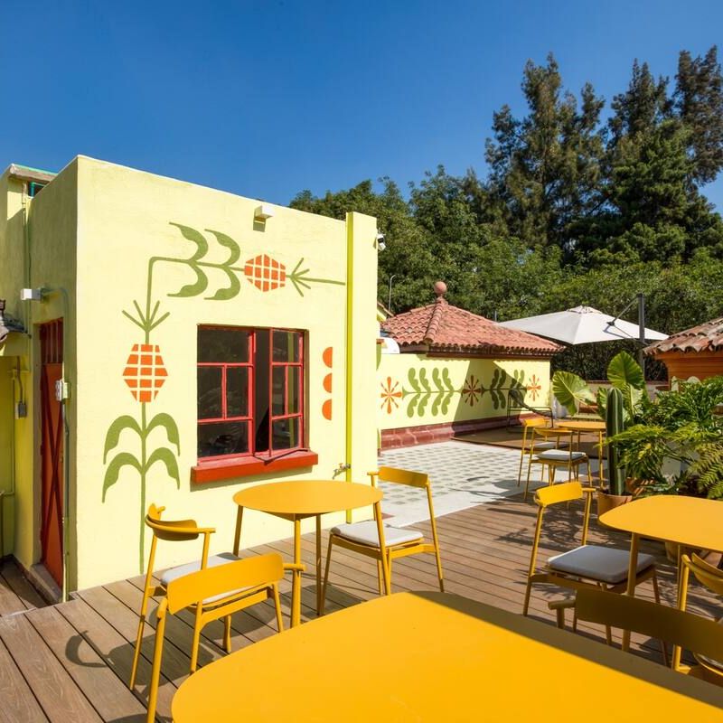 Private House in Condesa