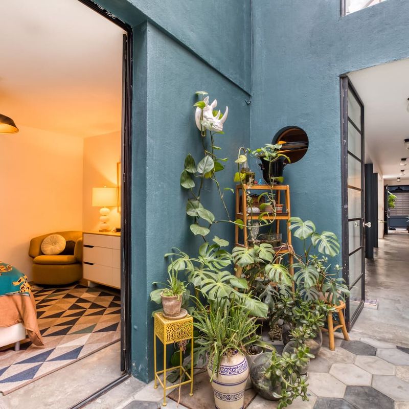 Stunning Home in Escandon