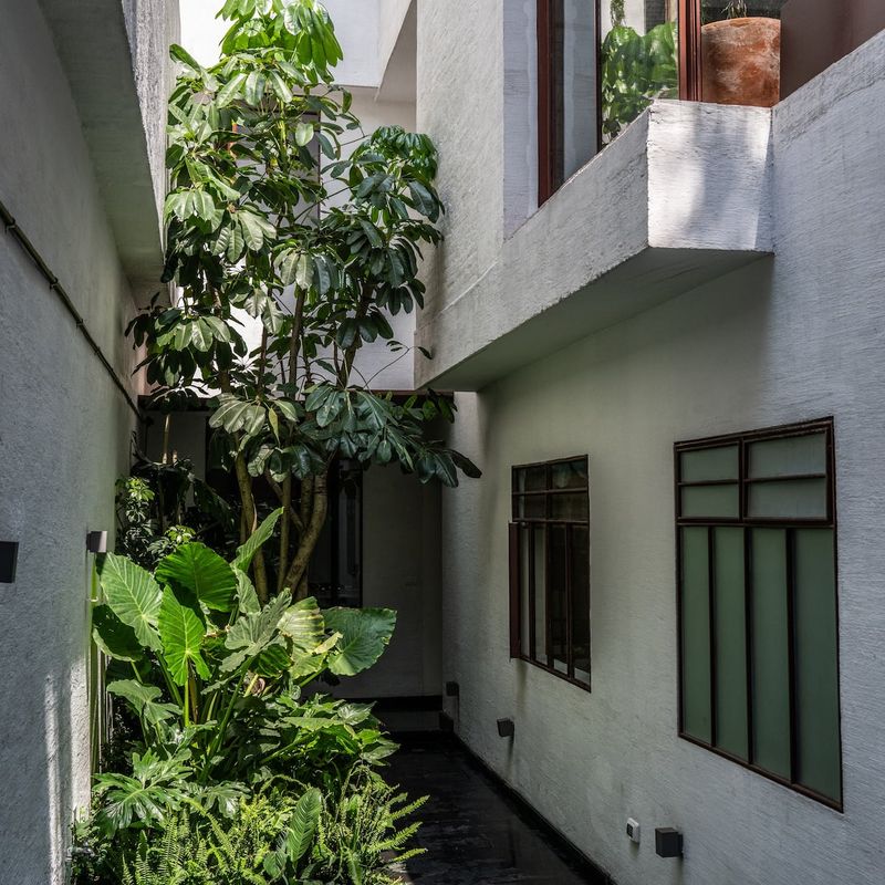Designer Home in Condesa