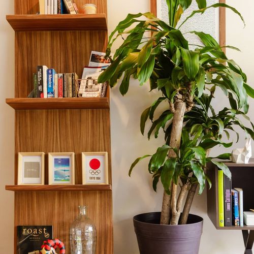 Apartment in Roma Norte
