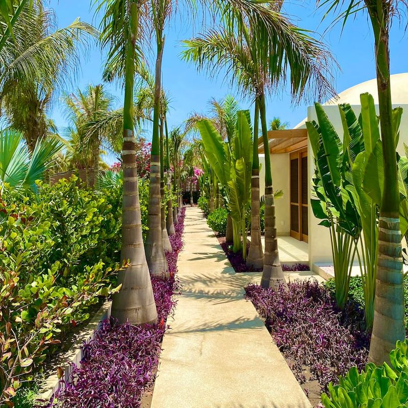 Oceanfront Home in La Barra de Colotepec