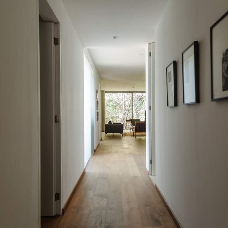 Apartment in Condesa