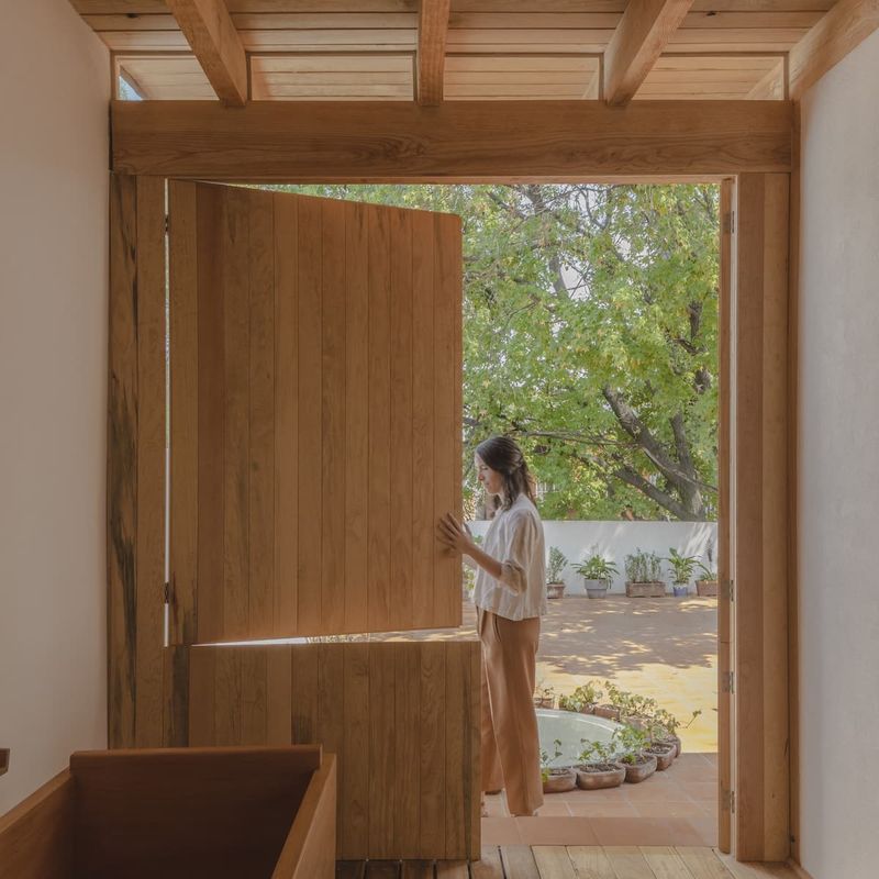Two Homes in Condesa
