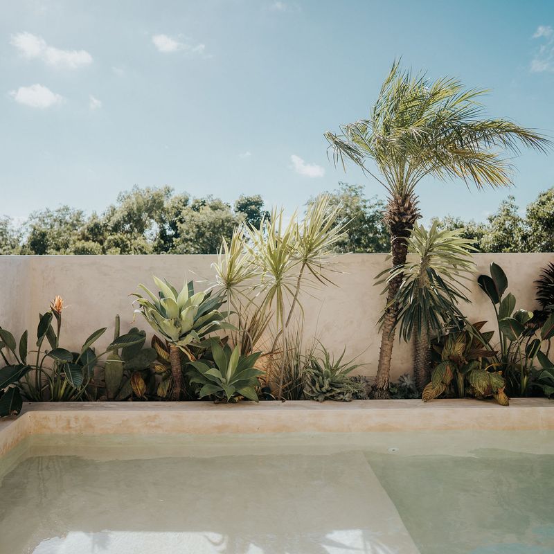 Designer Apartment in Tulum