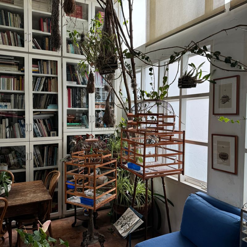 Artist's Home in Condesa