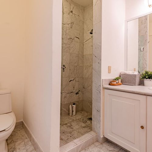 Large Home in Condesa