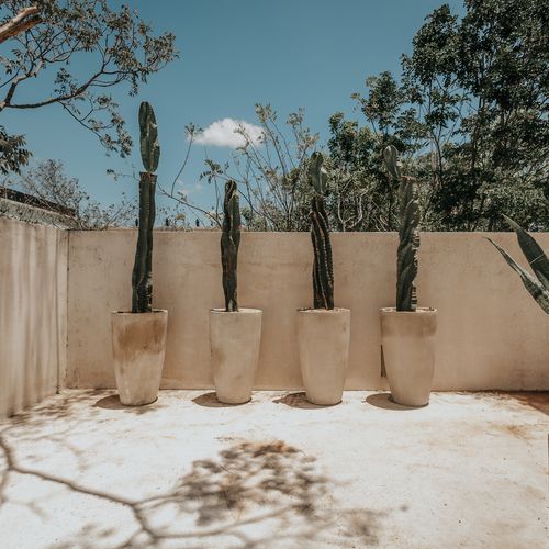 Designer Villa in Tulum