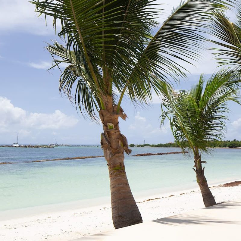 Luxury Villa in Puerto Aventuras