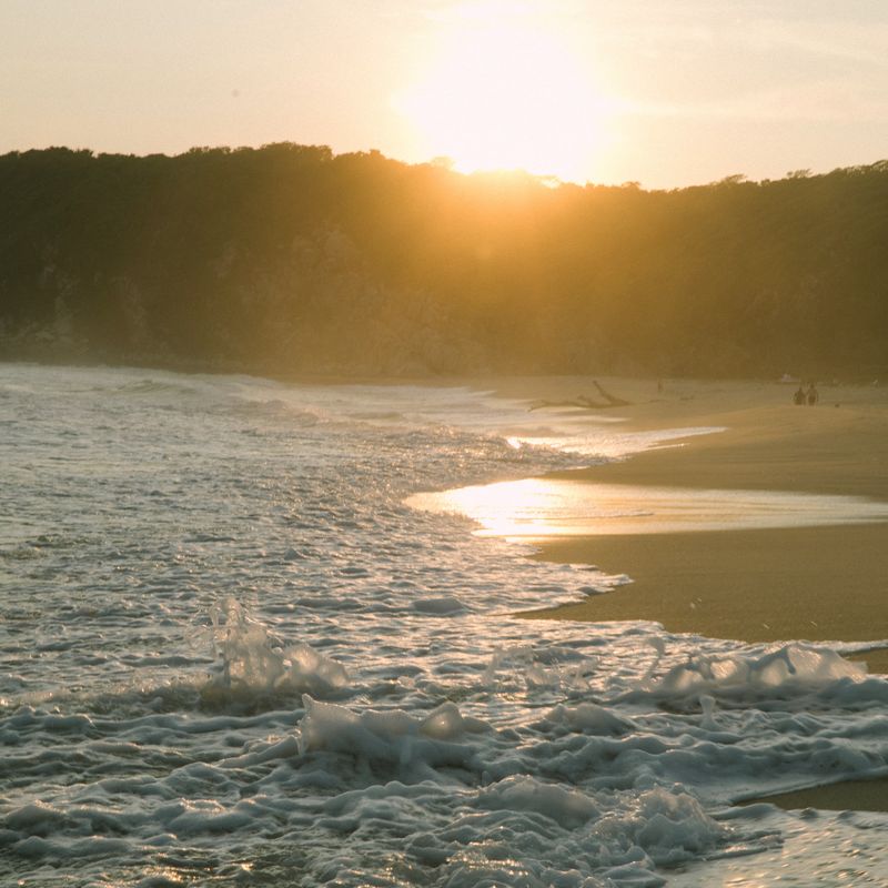 Designer Home in Casa Wabi Area