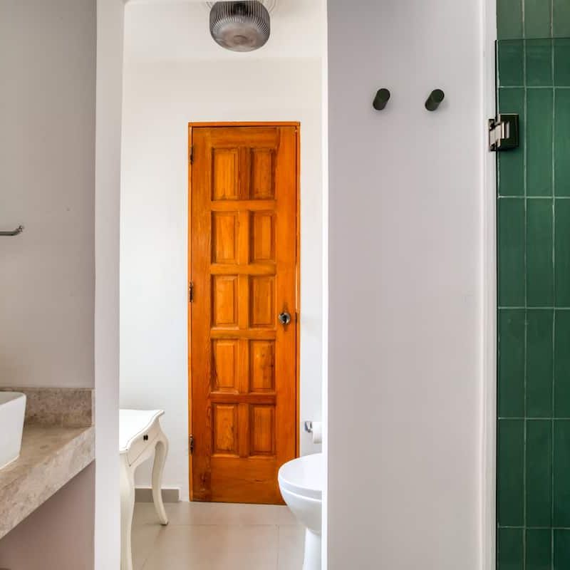 Private House in Condesa