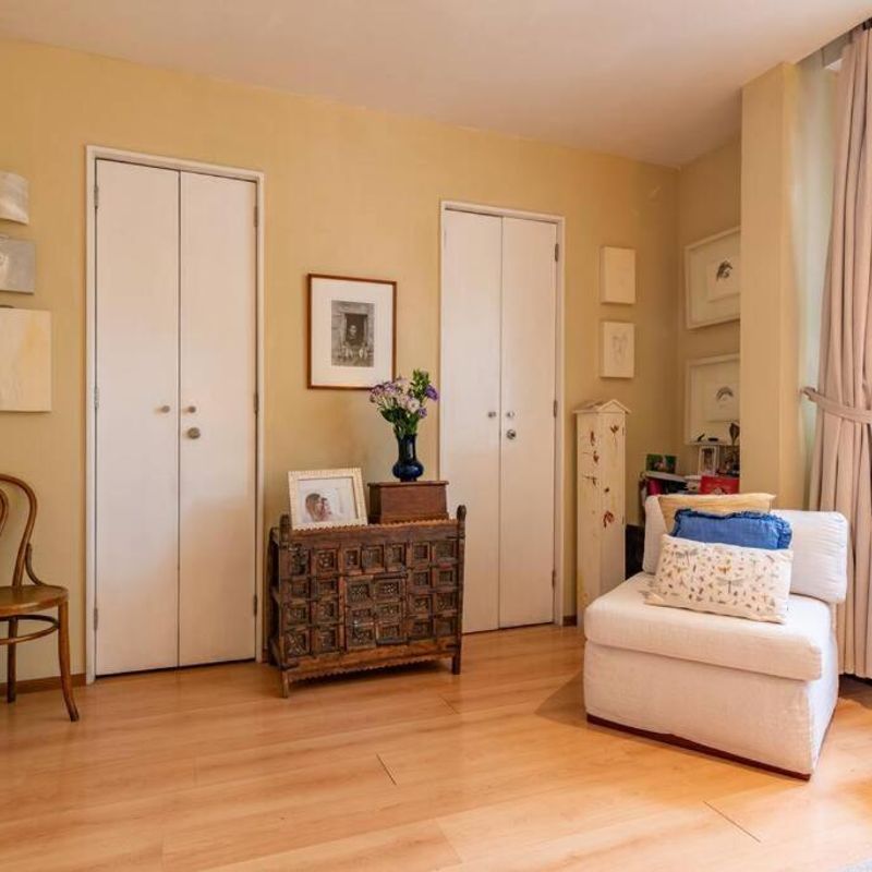 Artist's Home in Condesa