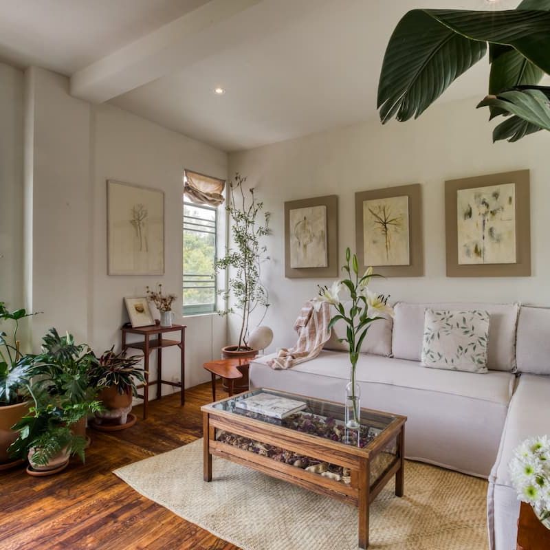 Apartment in La Condesa