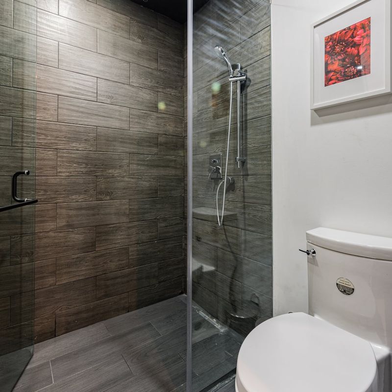 Large Home in Condesa