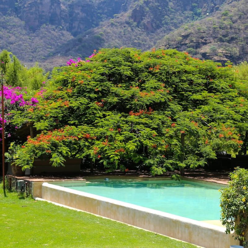 Countryside Home in Malinalco