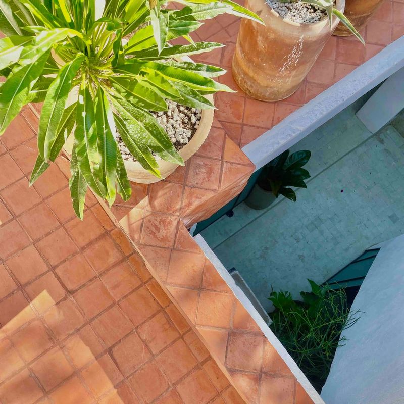 Colonial Home in Centro Oaxaca