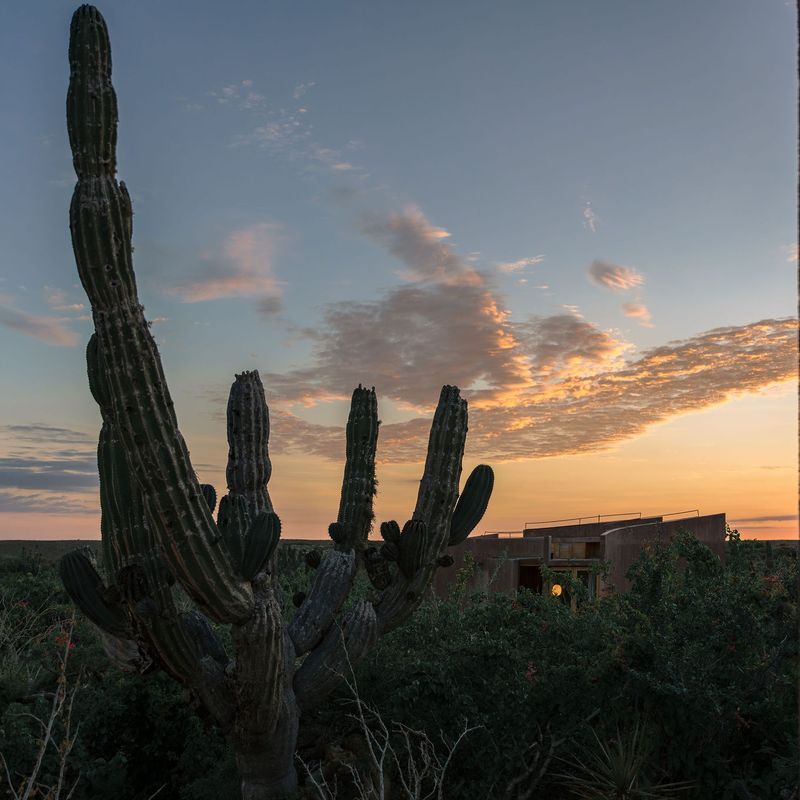 Home in Todos Santos