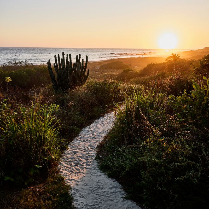 House in Santa Elena Tule