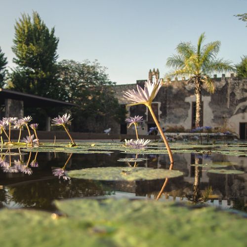 Hacienda in Kinchil