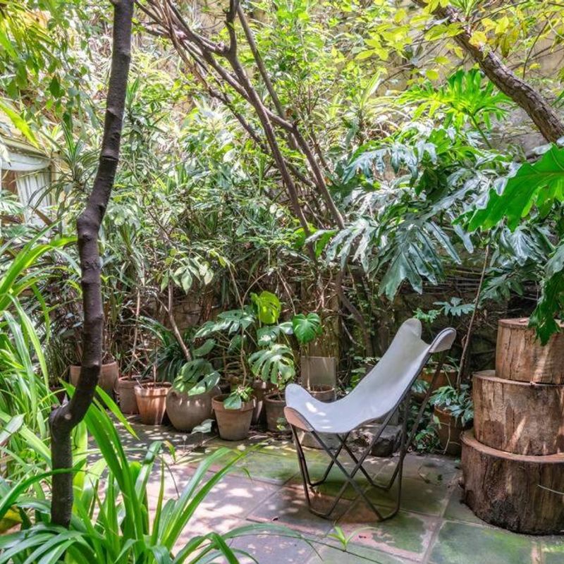 Artist's Home in Condesa