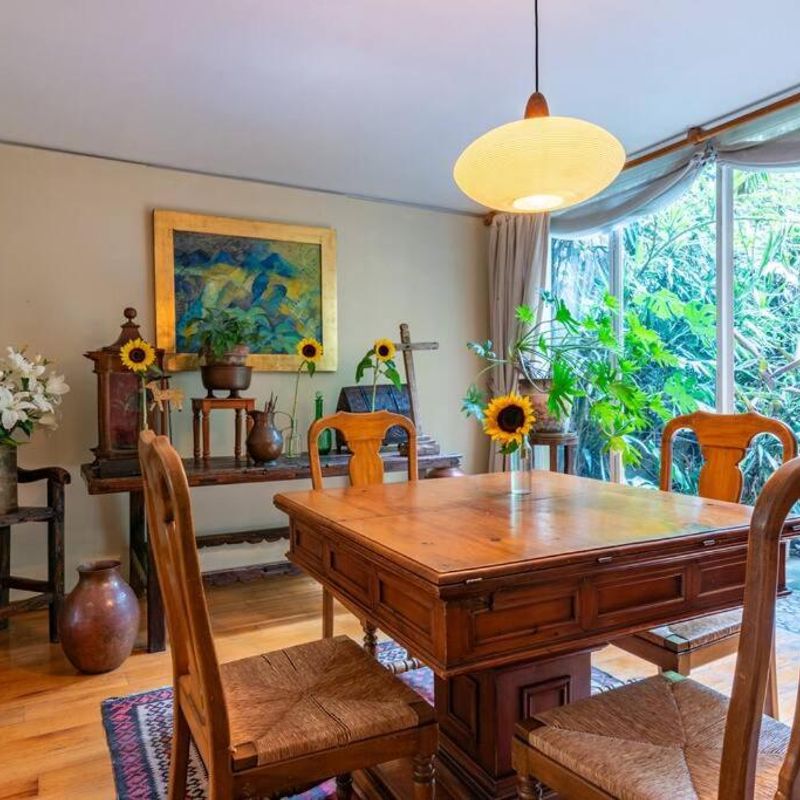 Artist's Home in Condesa