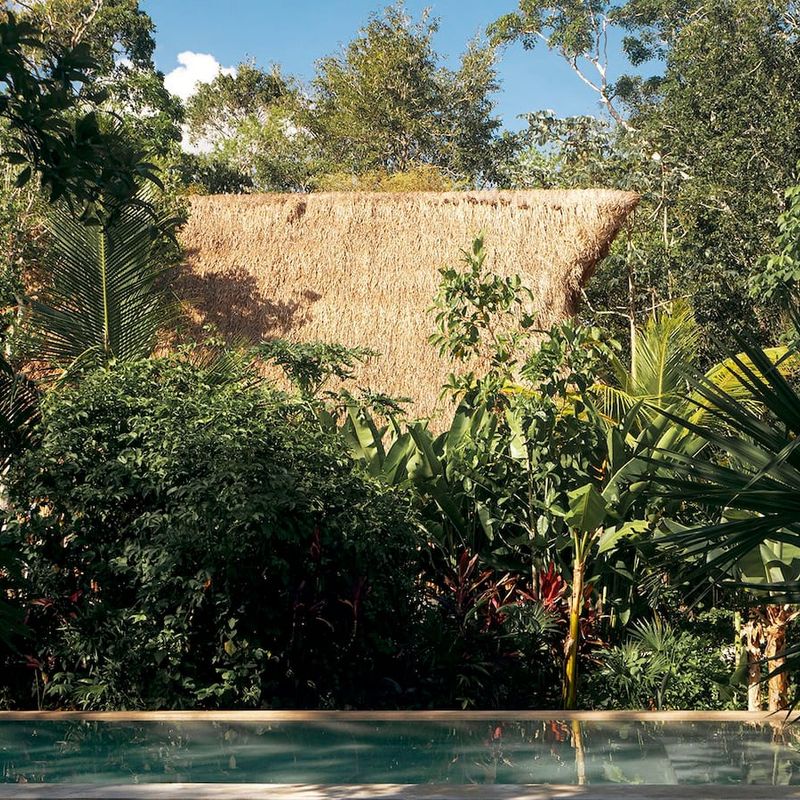 Designer Home in Macario Gómez