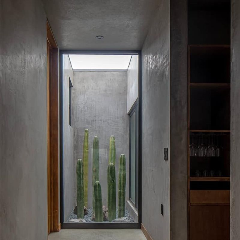 Designer Home in Valle de Guadalupe