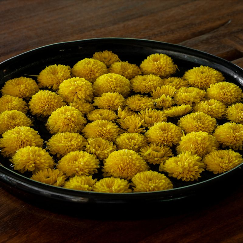 Beachfront Home in Puerto Escondido