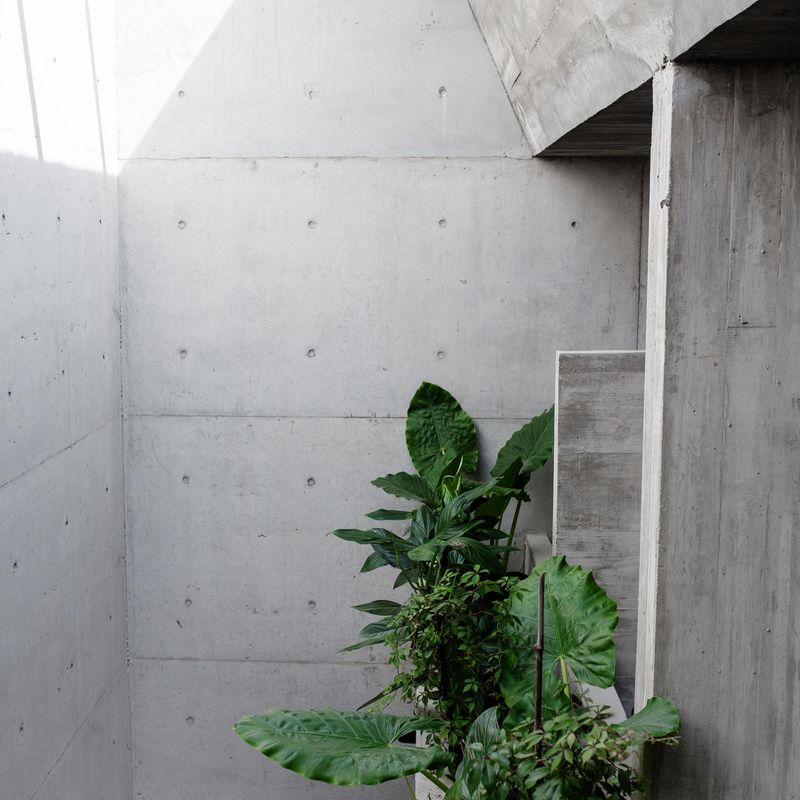 Brutalist Home in La Punta