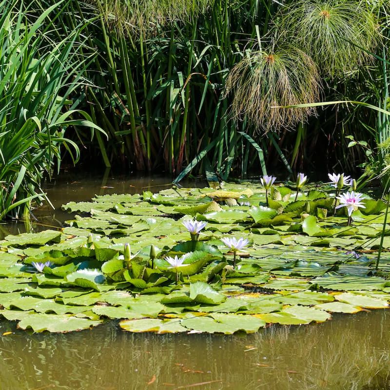 Countryside Home in Malinalco