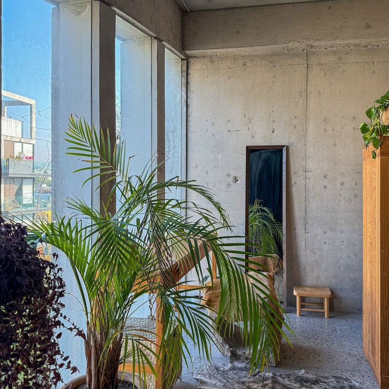 Apartment in Condesa