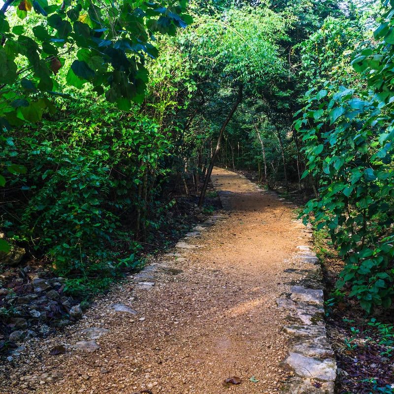 Luxury Jungle Villa in Valladolid