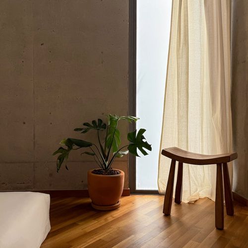 Apartment in Condesa