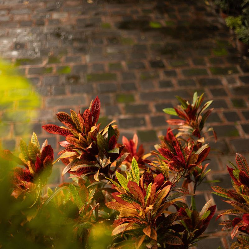 17th Century Hacienda in Morelos