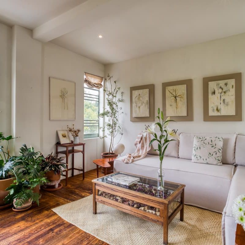 Apartment in La Condesa