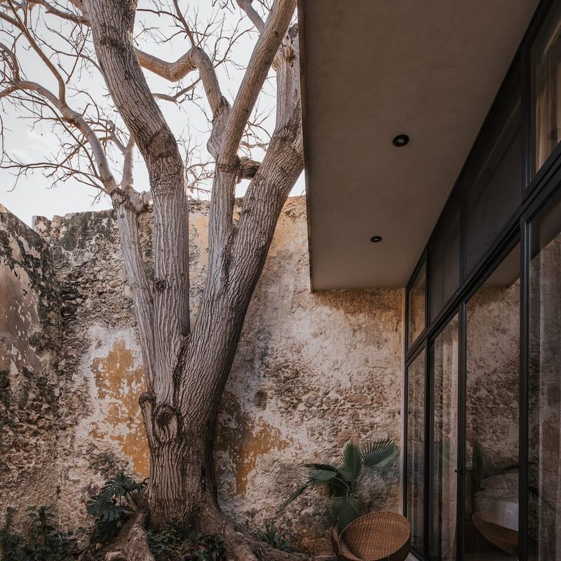 Historic Home in Campeche