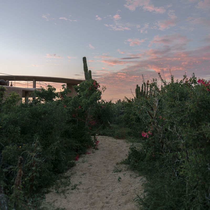 Home in Todos Santos