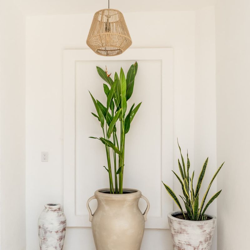 Boutique Home in Zicatela