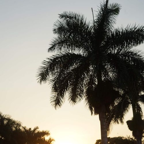 Hacienda in Morelos