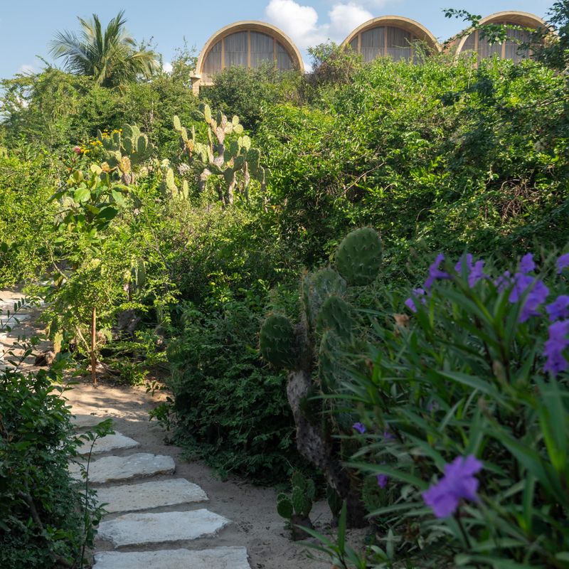 Designer home in Ventanilla