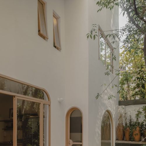 Two Homes in Condesa